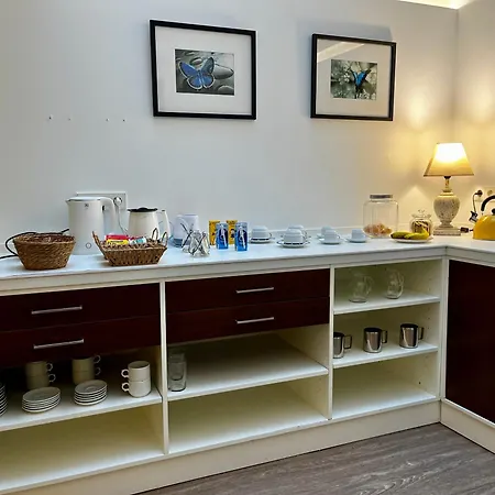 Boutique Aquaria Canelinas