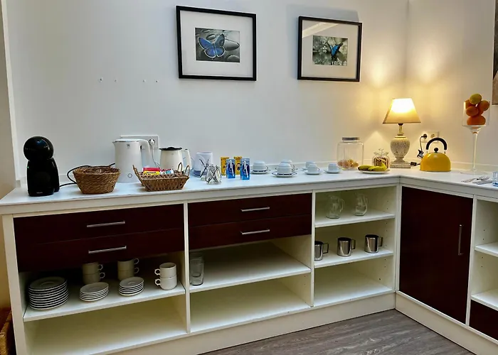 Boutique Aquaria Canelinas